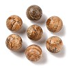 Natural Picture Jasper No Hole Sphere Beads G-K353-04D-15-1