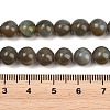 Handmade Lampwork Beads Strand LAMP-B056-8mm-21-5