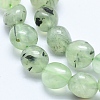 Natural Prehnite Beads Strands X-G-E483-71-3