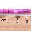 Natural Freshwater Shell Beads Strands SHEL-F008-04B-4