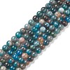 Natural Apatite Beads LS-G-E481-05-6mm-01-1