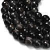 Natural Silver Obsidian Beads Strands G-C280-B08-10mm-4