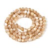 Natural Trochid Shell/Trochus Shell Beads Strands BSHE-T014-53-2