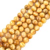 Natural Gold Tiger Eye Beads Strands G-G212-8mm-18-1