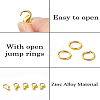 DIY Jewelry Making Finding Kit DIY-YW0009-22G-4