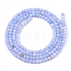 Natural Freshwater Shell Beads Strands BSHE-T009-01B-2