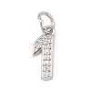Brass Micro Pave Clear Cubic Zirconia Charms KK-G544-04P-2
