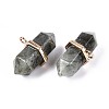 Natural Labradorite Double Terminal Pointed Pendants G-N345-09H-2