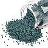 MIYUKI Delica Beads SEED-X0054-DB2407-1