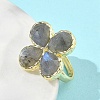 Natural Labradorite Faceted Adjustable Finger Rings for Women RJEW-A092-01G-12-3