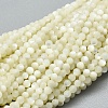 Natural White Shell Beads Strands G-A177-04-25-1