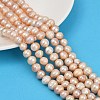 Natural Cultured Freshwater Pearl Beads Strands PEAR-I007-07Z-01B-1