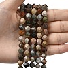 Natural Picasso Jasper Beads Strands G-Z119-A25-03-2