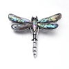 Natural Abalone/Paua Shell Brooch JEWB-G008-01AS-1