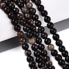 Natural Biotite Beads Strands G-Q616-01B-1