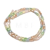 Electroplate Glass Beads Strands EGLA-D030-09-2