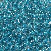 6/0 Transparent Colours Glass Seed Beads SEED-P006-01A-08-3