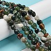 Natural Indian Agate Bead Strands G-P070-51A-2