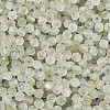Frosted Glass Seed Beads SEED-N012-01E-3