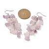 Natural Rose Quartz & Amethyst Chip Beaded Dangle Earrings EJEW-JE05369-2