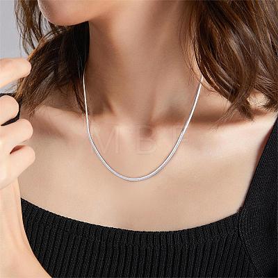 Simple Long Chain Necklace Stainless Steel Sweater Necklace Adjustable Chain Necklace Bold Snake Chain Necklace Trendy Statement Necklace Neck Jewelry for Women JN1102A-1
