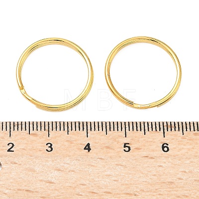 Iron Split Rings FIND-C084-03B-G-1