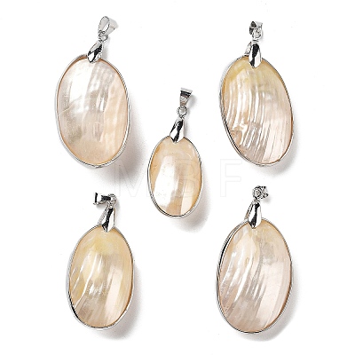 Electroplate Natural Shell Big Pendants KK-F882-05P-1