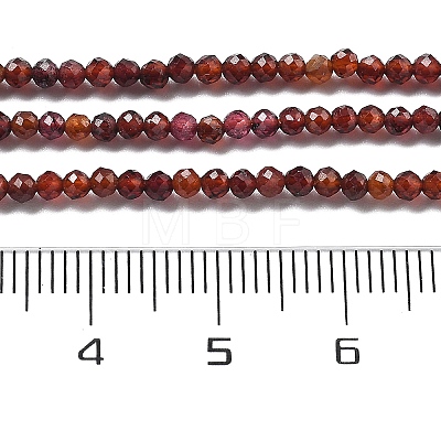 Natural Garnet Beads Strands G-H079-A01-01A-1