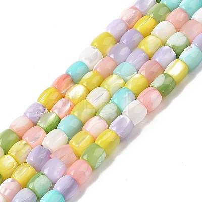 Natural Trochid Shell/Trochus Shell Beads Strands BSHE-H018-05-1