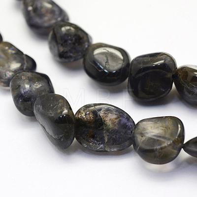 Natural Kyanite Quartz Beads Strands G-K202-04-1