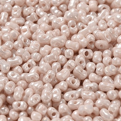 Glass Seed Beads SEED-K009-02A-01-1