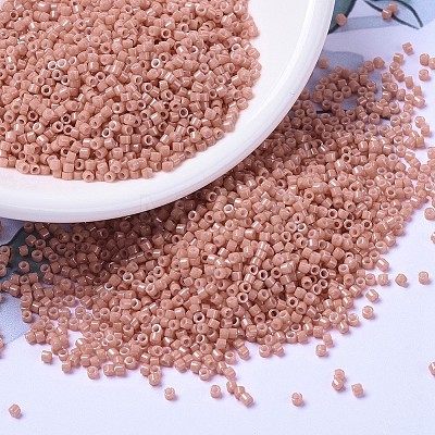 MIYUKI Delica Beads SEED-MY11-DB1363-1