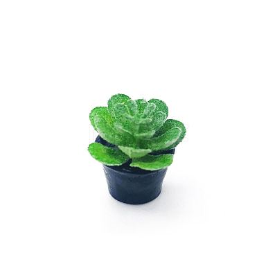 Mini Resin Artificial Succulent Plant Ornaments MIMO-PW0001-191F-1