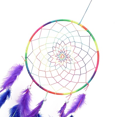 Chakra Theme Iron Woven Web/Net with Feather Pendant Decorations AJEW-B016-03-1