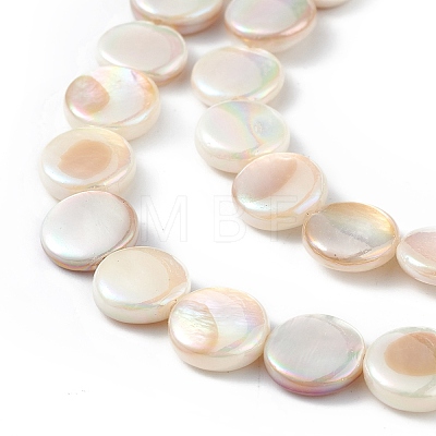 Electroplated Natural Freshwater Shell Beads Strands X-SHEL-K001-002-1