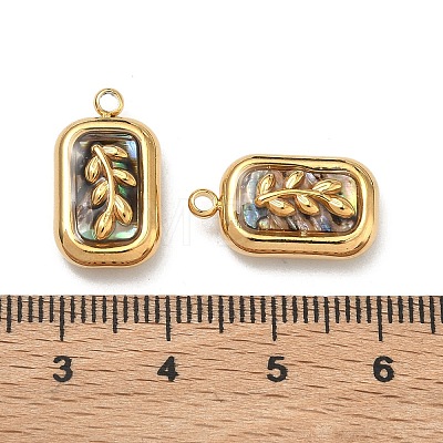 Natural Paua Shell Pendants STAS-C174-21G-01-1