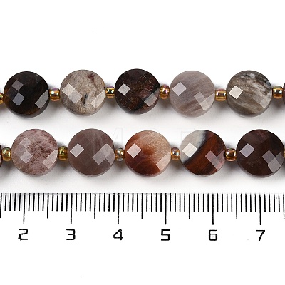 Natural Petrified Wood Beads Strands G-B094-A10-01-1