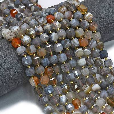 Natural Botswana Agate Beads Strands G-K389-A66-01-1