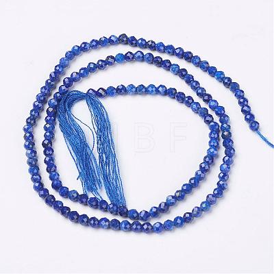 Natural Lapis Lazuli Beads Strands G-D165-B-2mm-1