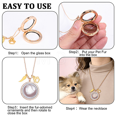 3Pcs Alloy Crystal Rhinestone Wing Paw Print and Glass Magnetic Flat Round Locket Pendant Ball Chain Necklaces for Women NJEW-DR00041-1