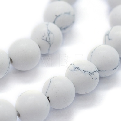 Synthetic Turquoise Beads Strands G-P387-02-6mm-1