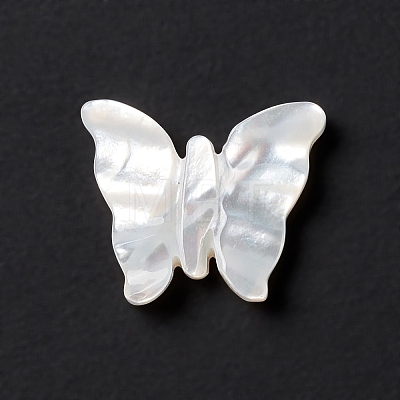 Natural White Shell Beads BSHE-G031-04-1