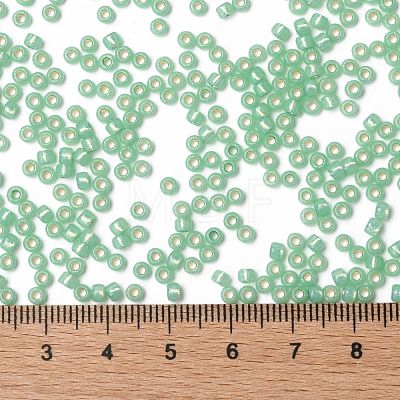 TOHO Round Seed Beads SEED-XTR08-PF2103-1