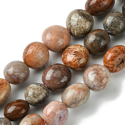 Natural Fossil Coral Beads Strands G-G117-A01-02-1