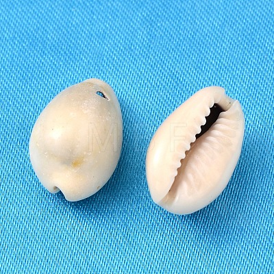 Natural Cowrie Shell Beads X-BSHE-S049-1