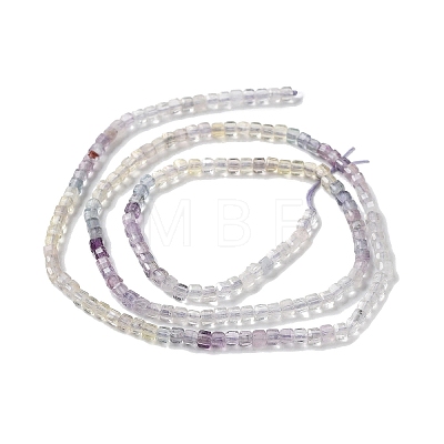 Natural Fluorite Beads Strands G-D080-B01-1