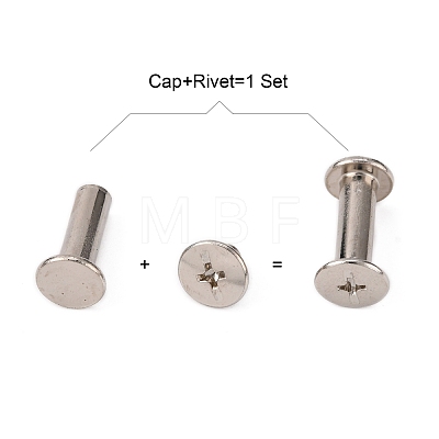 Iron Screw Rivets IFIN-WH0030-04-1