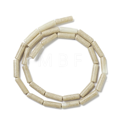 Natural Fossil Beads Strands G-H269-02-1