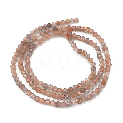 Natural Multi-Moonstone Beads Strands G-L597-C04-04-1