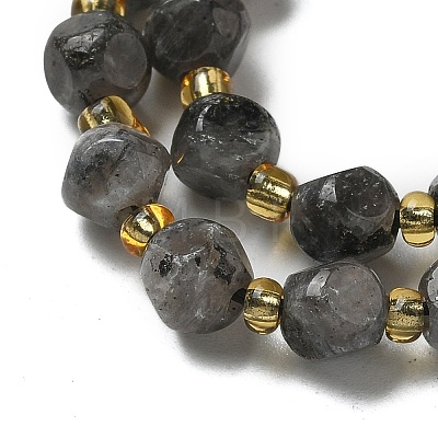 Natural Larvikite Beads Strands G-K387-A02-01-1